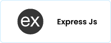 Express Js logo