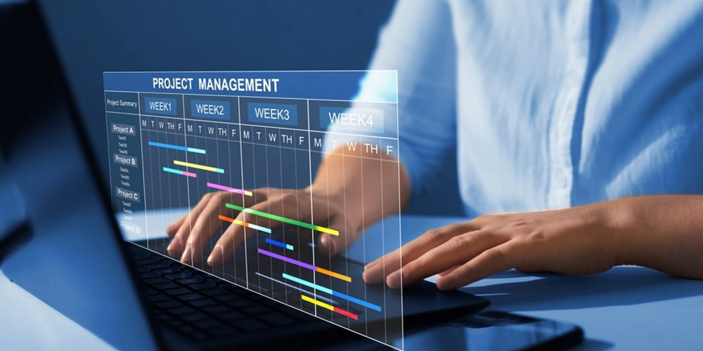 Illustration of Software project management