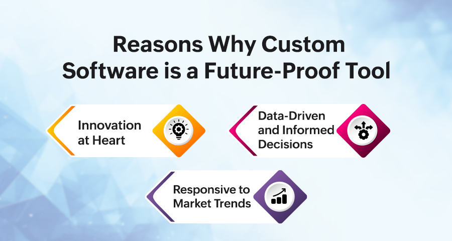 Reasons Why Custom Software is a Future-Proof Tool